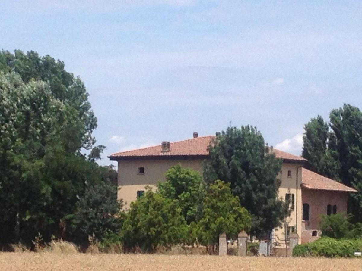 Il Boschetto Di Morgana Bed & Breakfast คาสเทลซานเปียโตรแตร์เม ภายนอก รูปภาพ