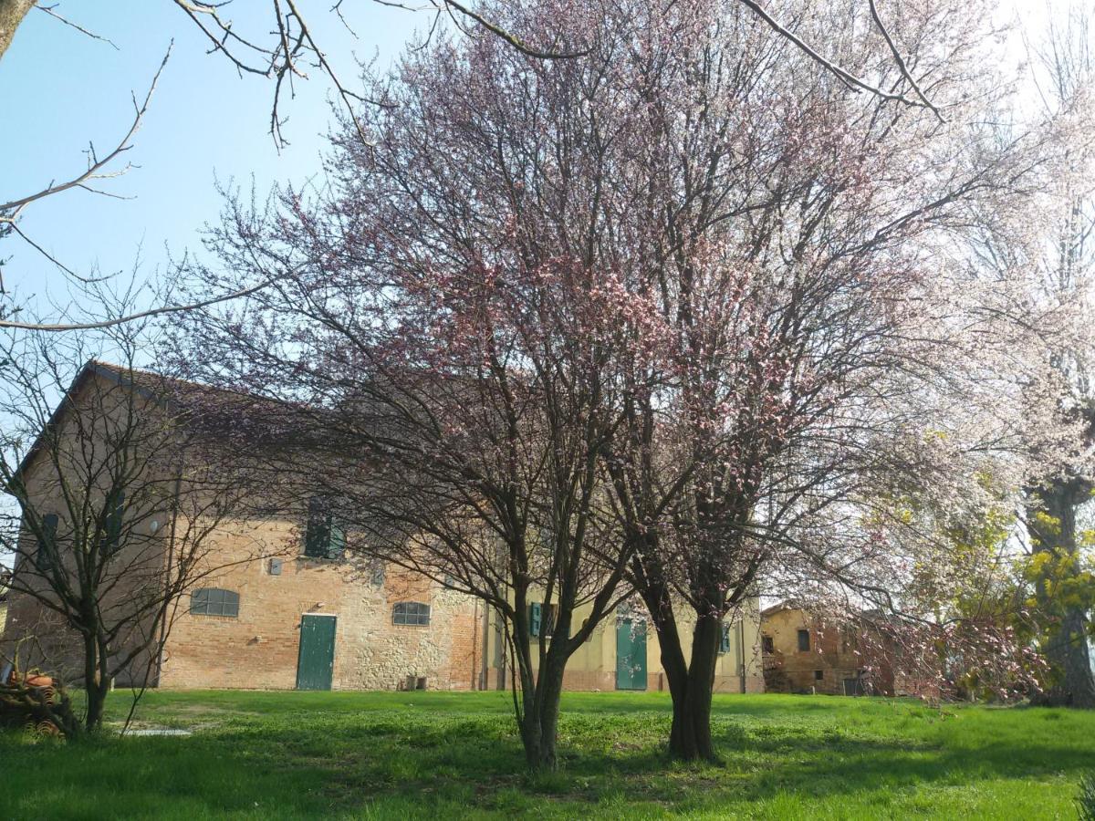 Il Boschetto Di Morgana Bed & Breakfast คาสเทลซานเปียโตรแตร์เม ภายนอก รูปภาพ