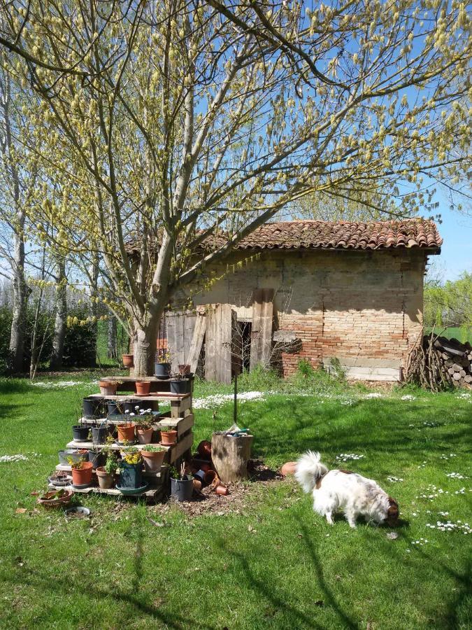 Il Boschetto Di Morgana Bed & Breakfast คาสเทลซานเปียโตรแตร์เม ภายนอก รูปภาพ