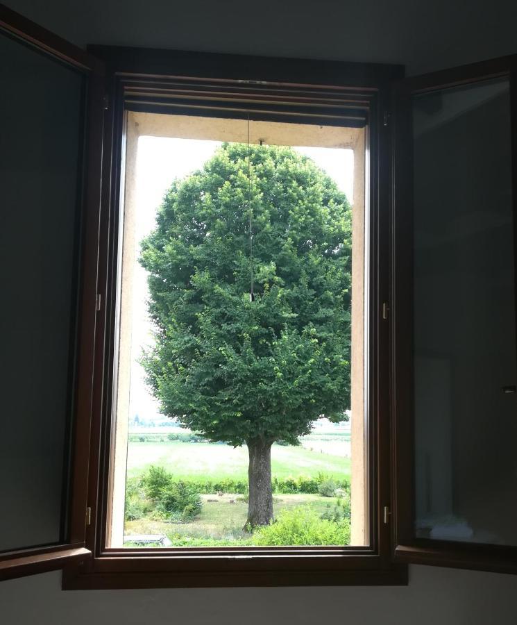 Il Boschetto Di Morgana Bed & Breakfast คาสเทลซานเปียโตรแตร์เม ภายนอก รูปภาพ