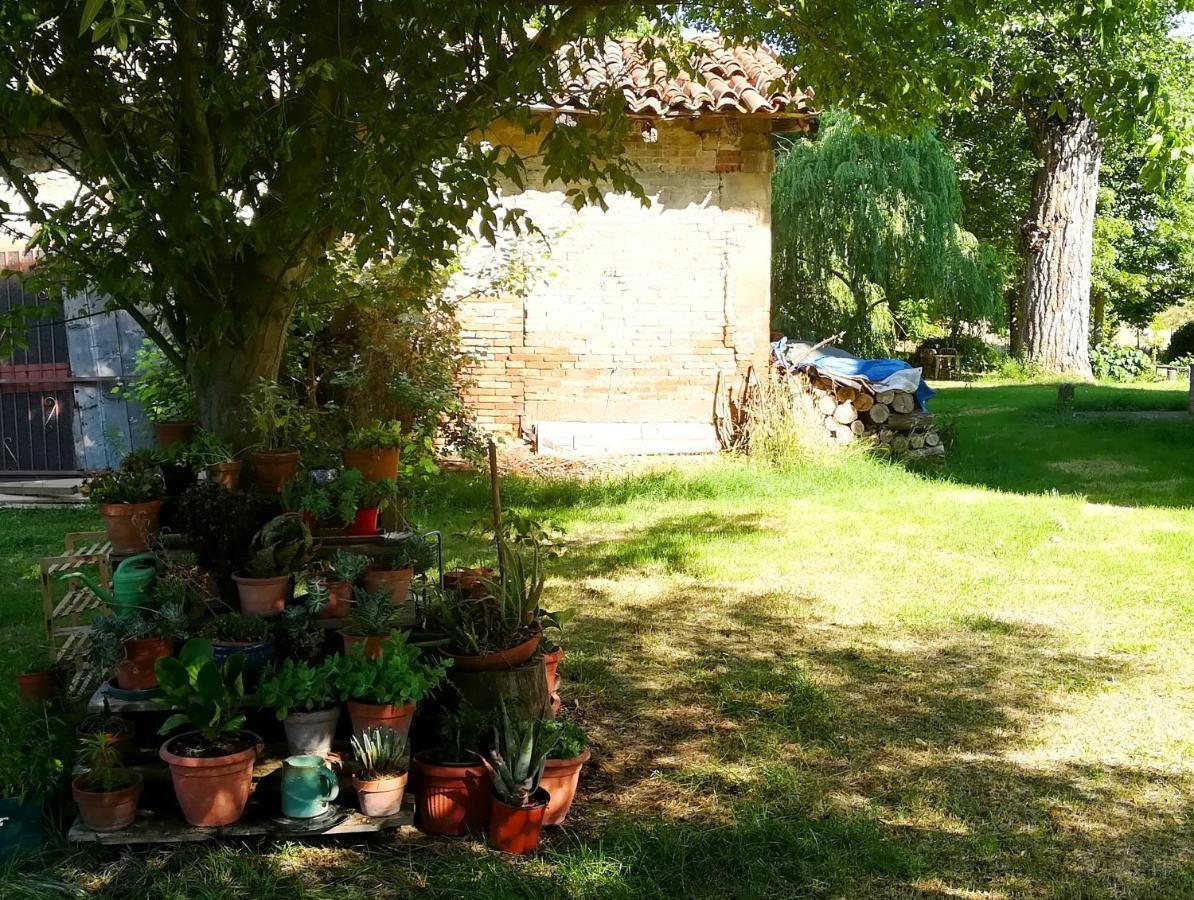 Il Boschetto Di Morgana Bed & Breakfast คาสเทลซานเปียโตรแตร์เม ภายนอก รูปภาพ